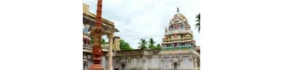 21. திருநந்திபுர விண்ணகரம்